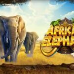 African Elephant Slots