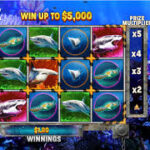 Slot Game Shark Week,