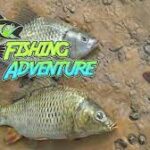Ocean Adventure Fishing