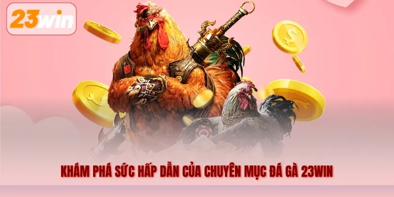 Khám phá sức hấp dẫn của chuyên mục đá gà 23WIN